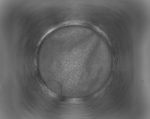 X0000082201166200702021836