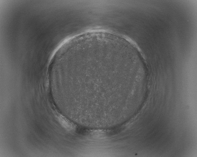 X0000082201167200702021836