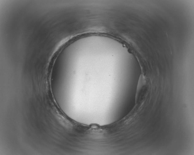 X0000082201168200702021836