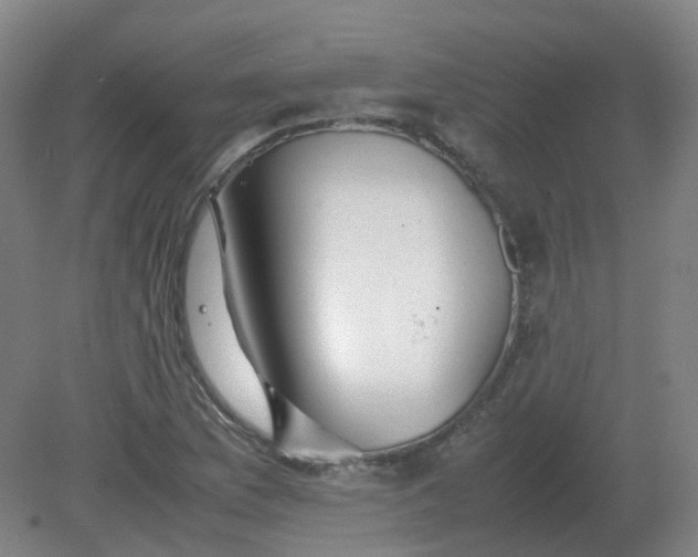 X0000082201169200702021836