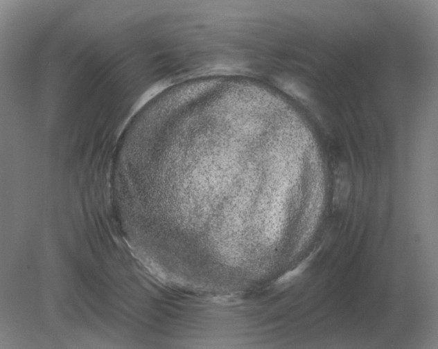 X0000082201170200702021836