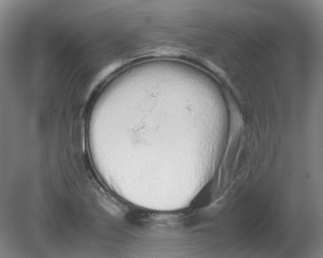 X0000082201171200702021836