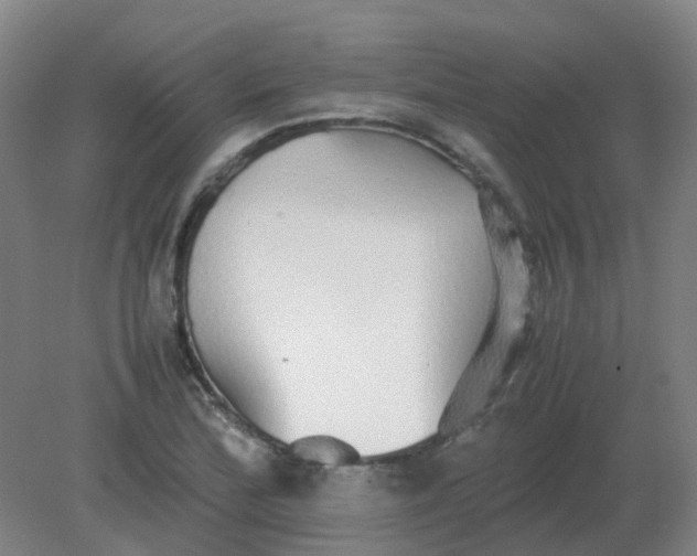 X0000082201172200702021836