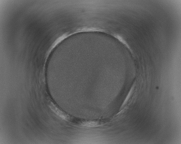 X0000082201173200702021836