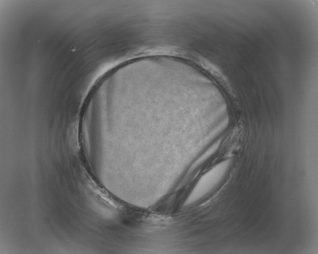 X0000082201174200702021836