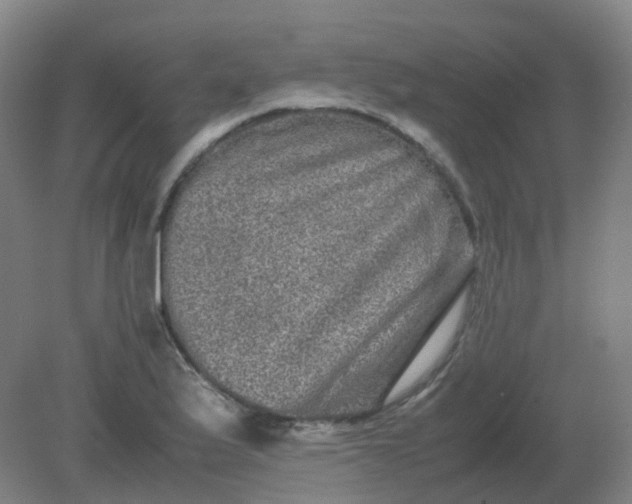 X0000082201175200702021836