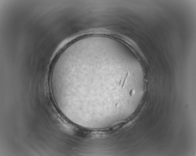 X0000082201176200702021836