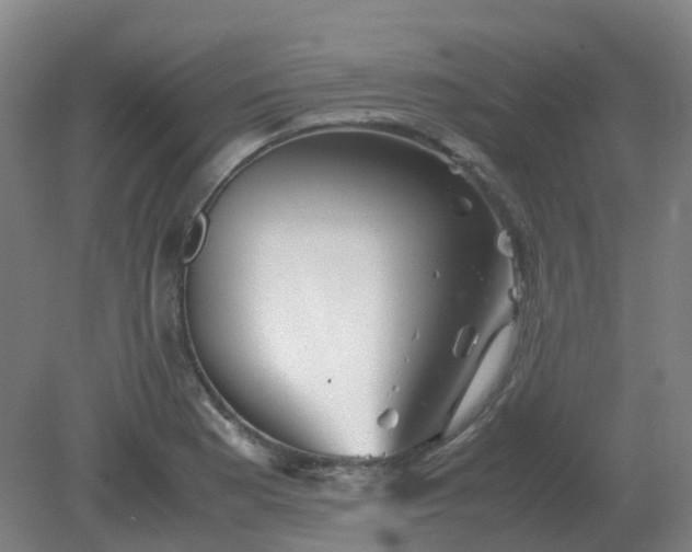 X0000082201177200702021836