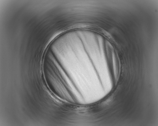 X0000082201178200702021836