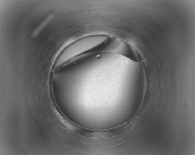 X0000082201181200702021836