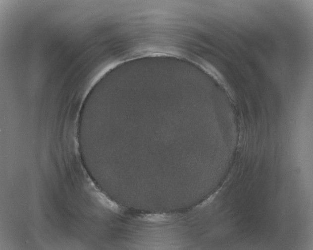 X0000082201182200702021836