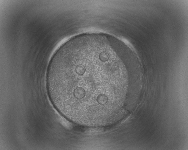 X0000082201183200702021836