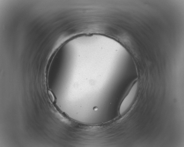 X0000082201184200702021836