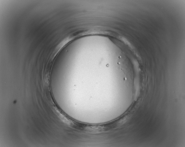 X0000082201185200702021836