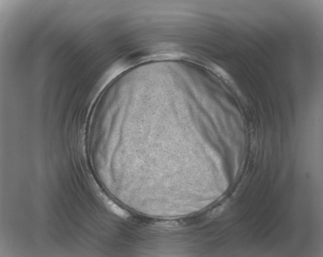 X0000082201186200702021836