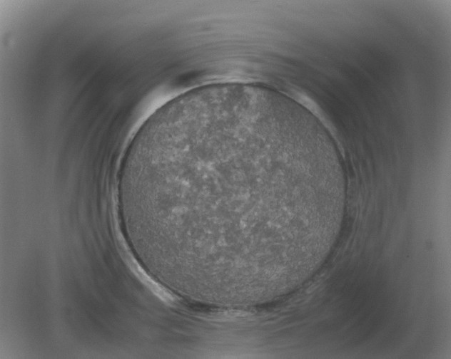 X0000082201187200702021836