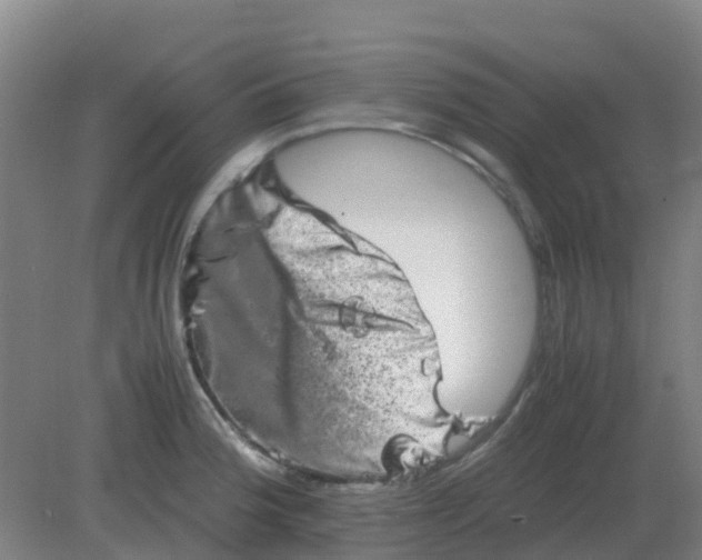 X0000082201188200702021836