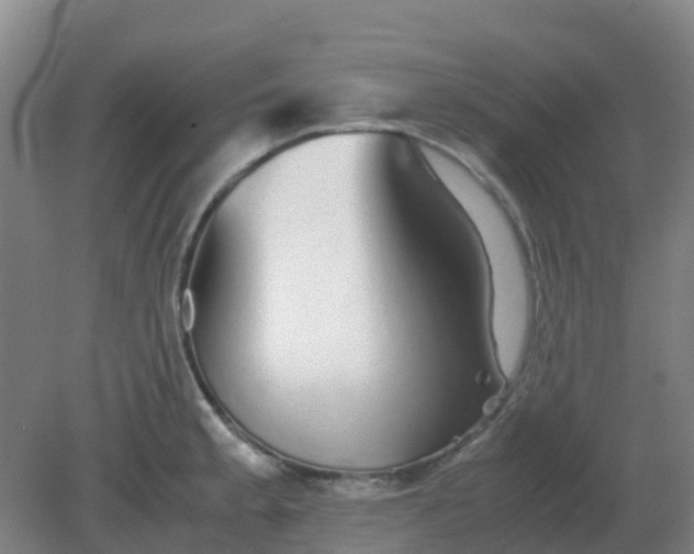 X0000082201189200702021836