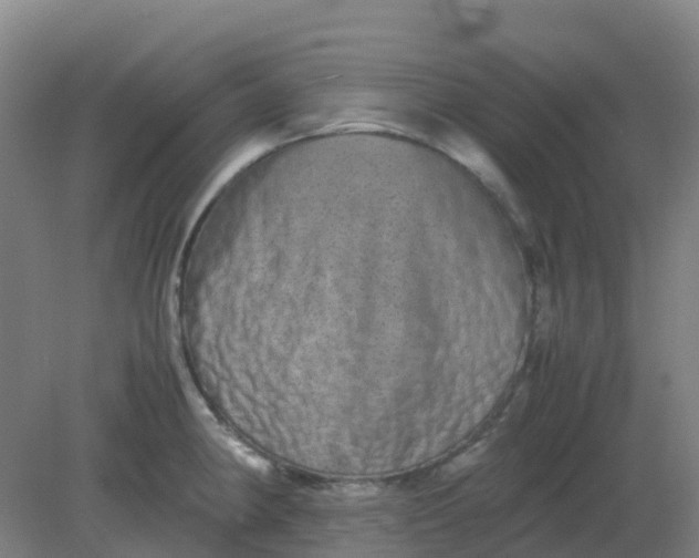 X0000082201190200702021836