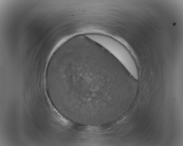 X0000082201191200702021836