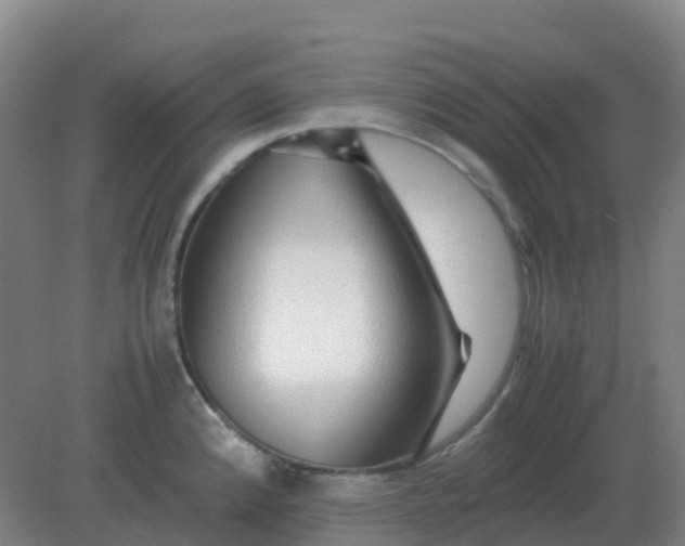 X0000082201192200702021836