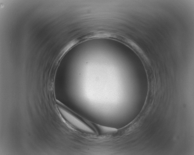 X0000082201193200702021836