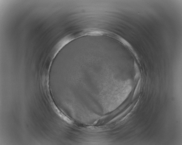 X0000082201194200702021836