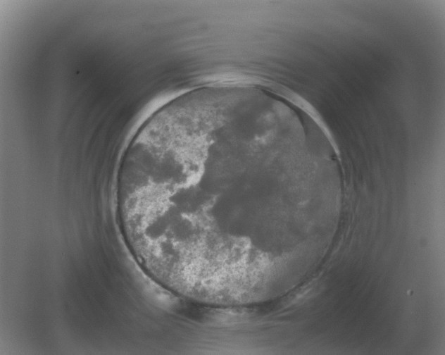 X0000082201195200702021836