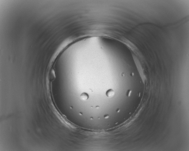 X0000082201196200702021836