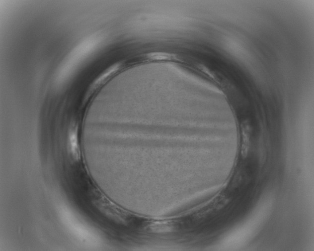 X0000082201198200702021836