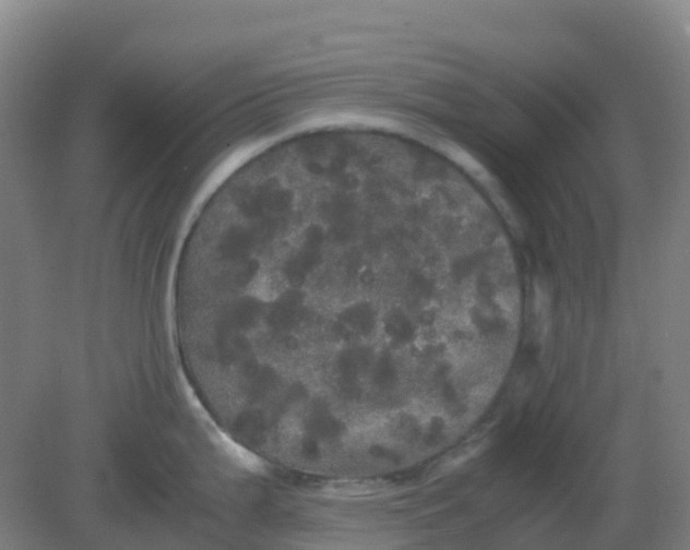 X0000082201199200702021836