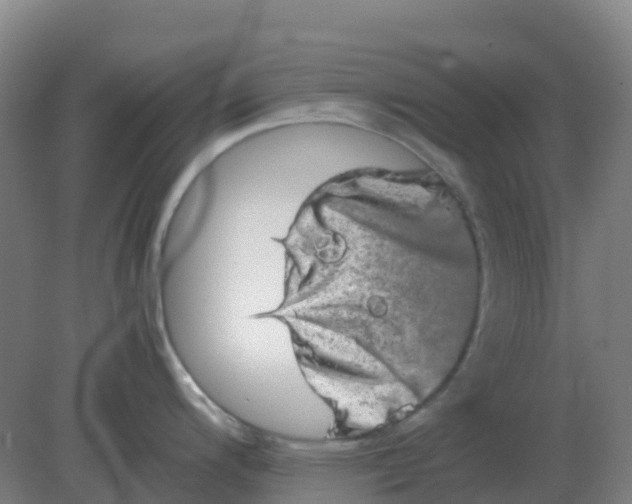 X0000082201200200702021836