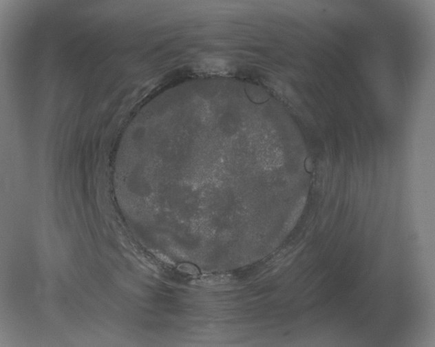 X0000082201201200702021835