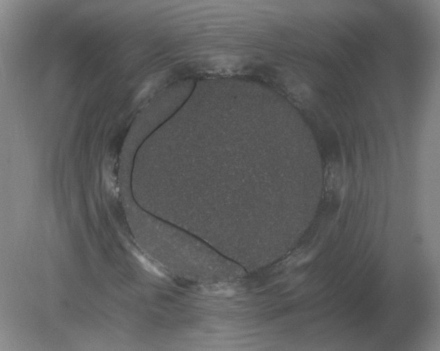 X0000082201202200702021835