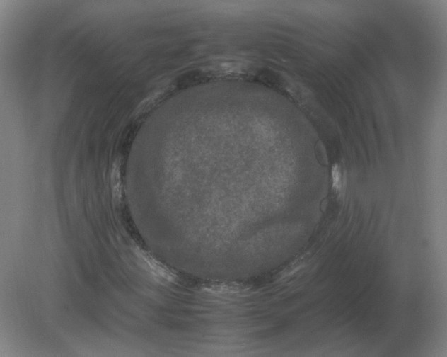 X0000082201203200702021835