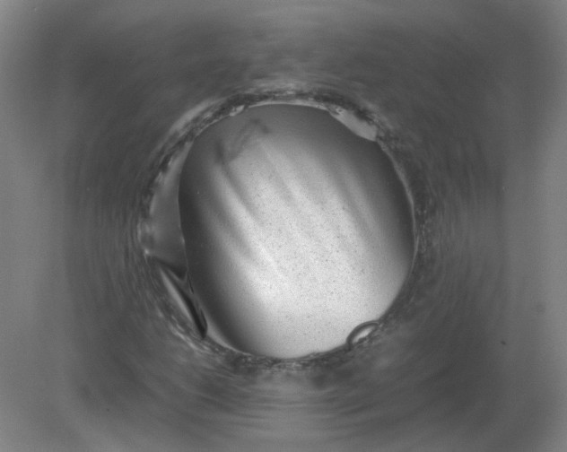 X0000082201206200702021835