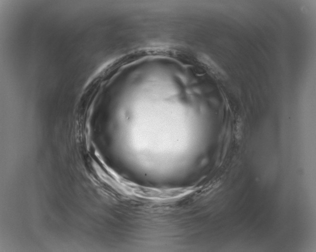 X0000082201208200702021835