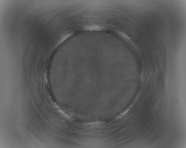 X0000082201209200702021835