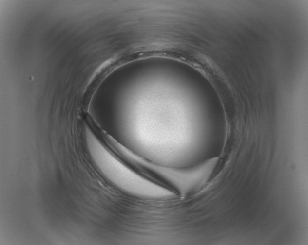 X0000082201210200702021835