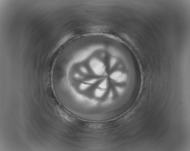 X0000082201211200702021835