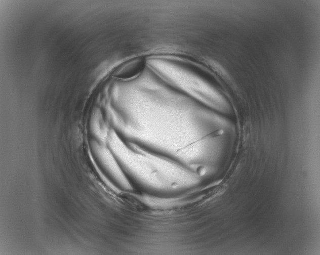 X0000082201212200702021835