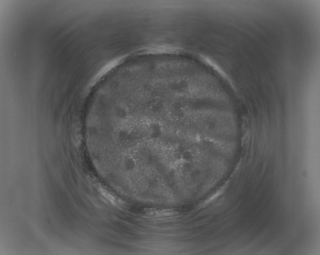 X0000082201213200702021835