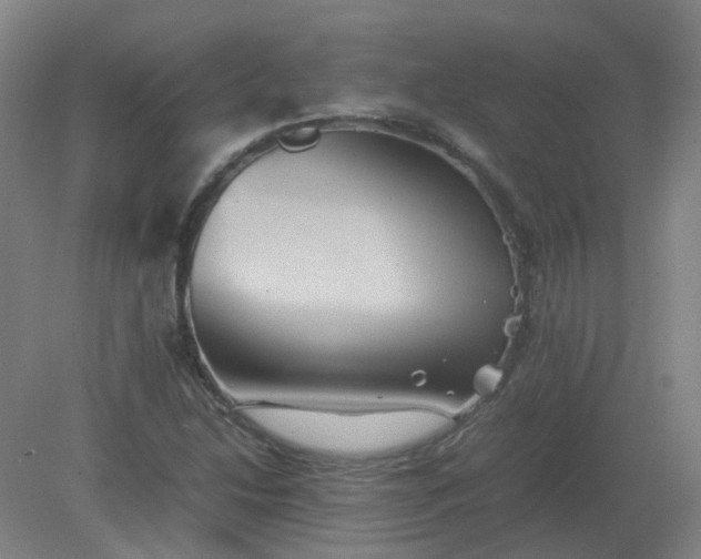 X0000082201214200702021835