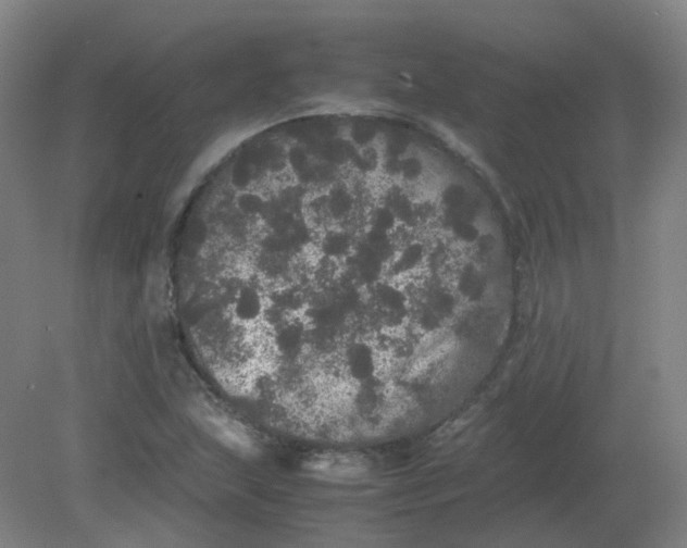 X0000082201215200702021835