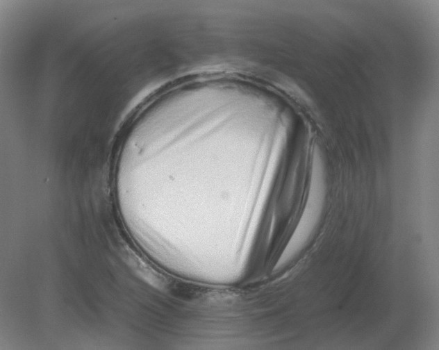 X0000082201216200702021835