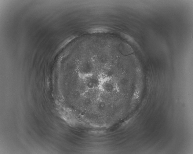 X0000082201217200702021835