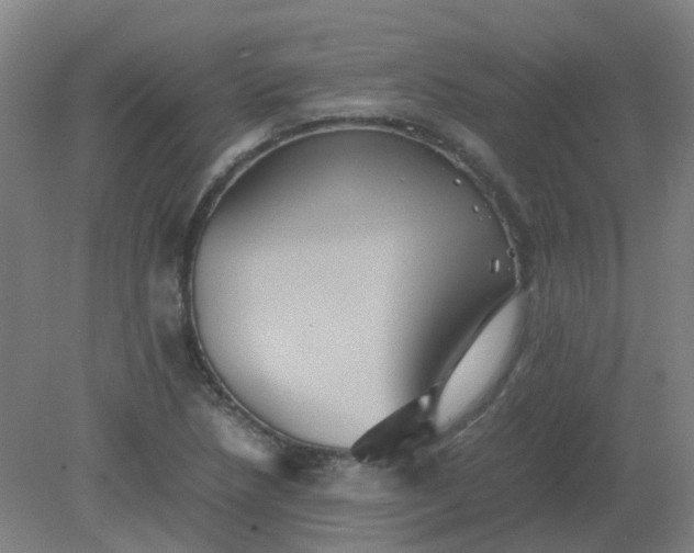 X0000082201218200702021835