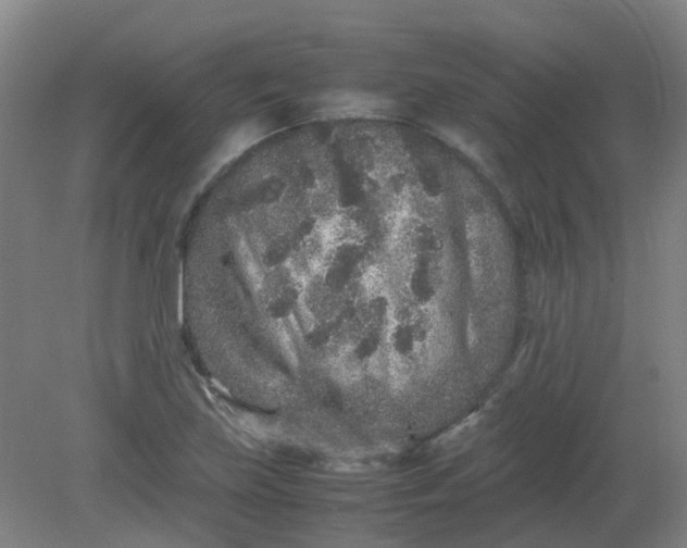 X0000082201219200702021835