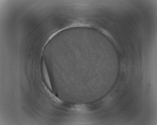 X0000082201220200702021835