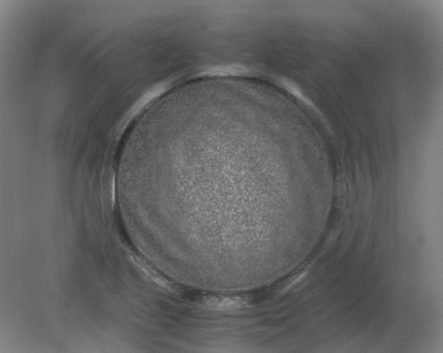 X0000082201221200702021835